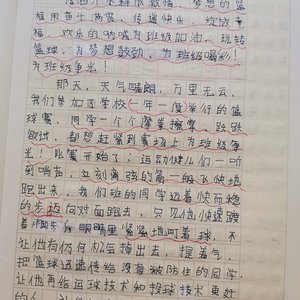 小学篮球训练总结800字怎么写